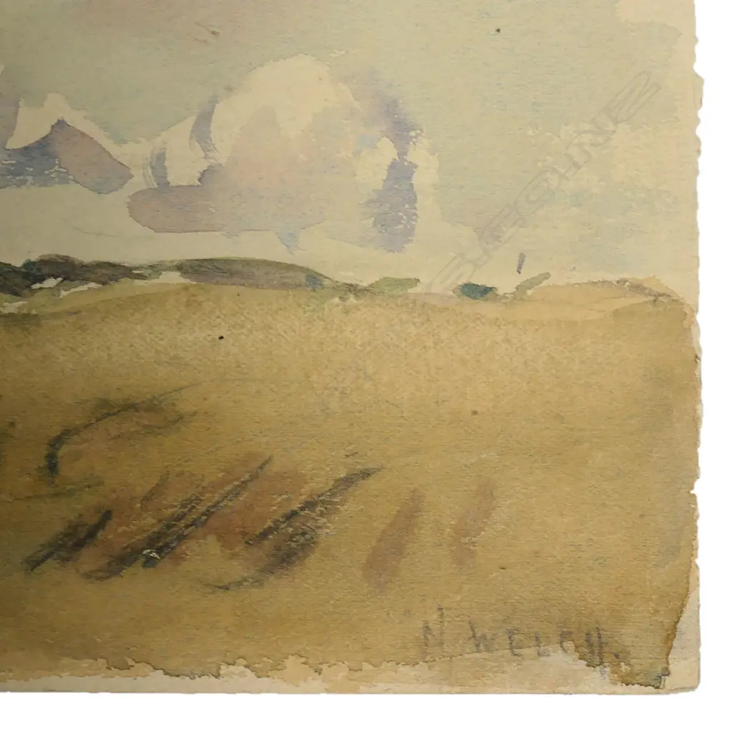 Nugent Welch (1881-1971), Image 1++