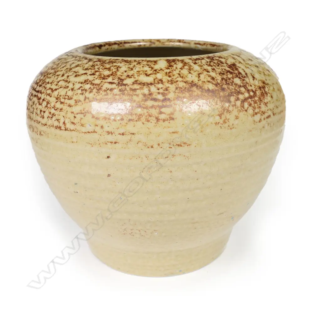 A rare Briar Gardner, Crum Brick Works salt glaze vase, Image 1++