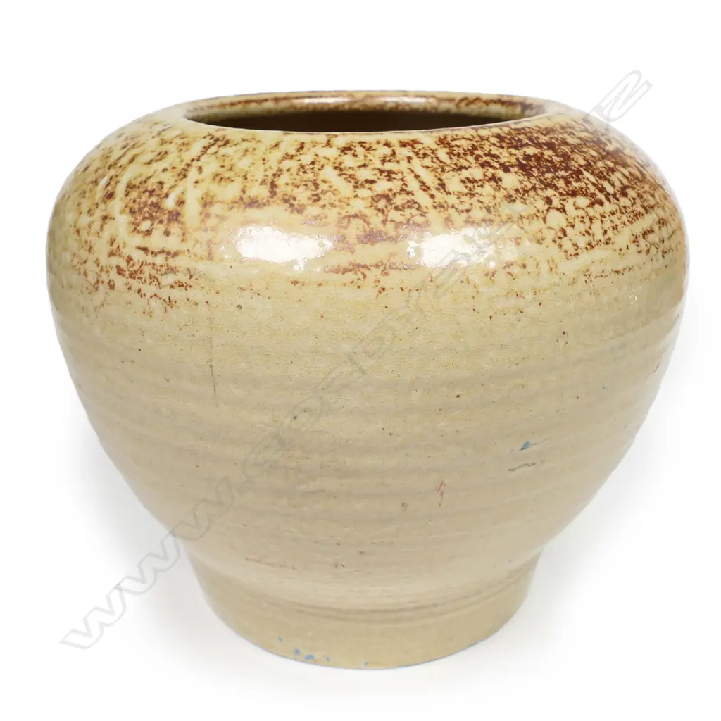 A rare Briar Gardner, Crum Brick Works salt glaze vase, Image 1++