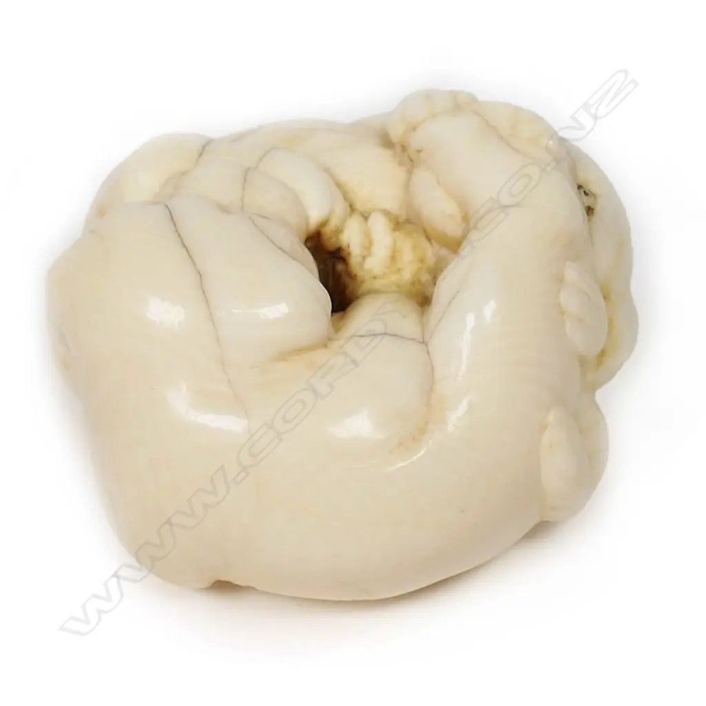 A Japanese ivory netsuke of two puppies, Image 1++