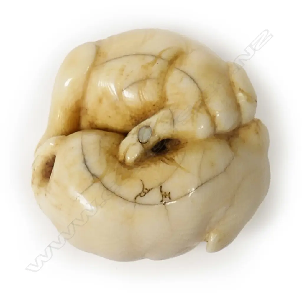 A Japanese ivory netsuke of two puppies, Image 1++