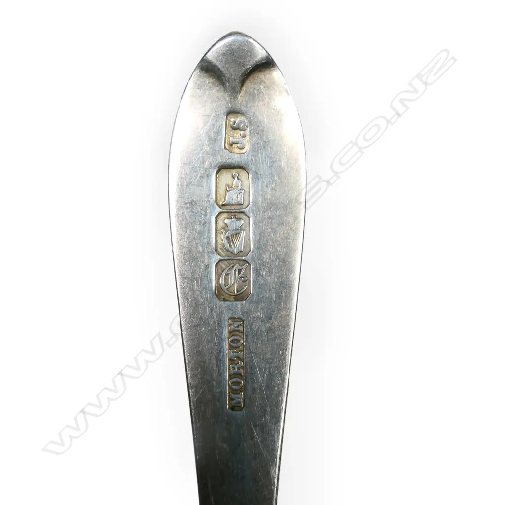 Six Victorian Irish silver teaspoons, Image 1++