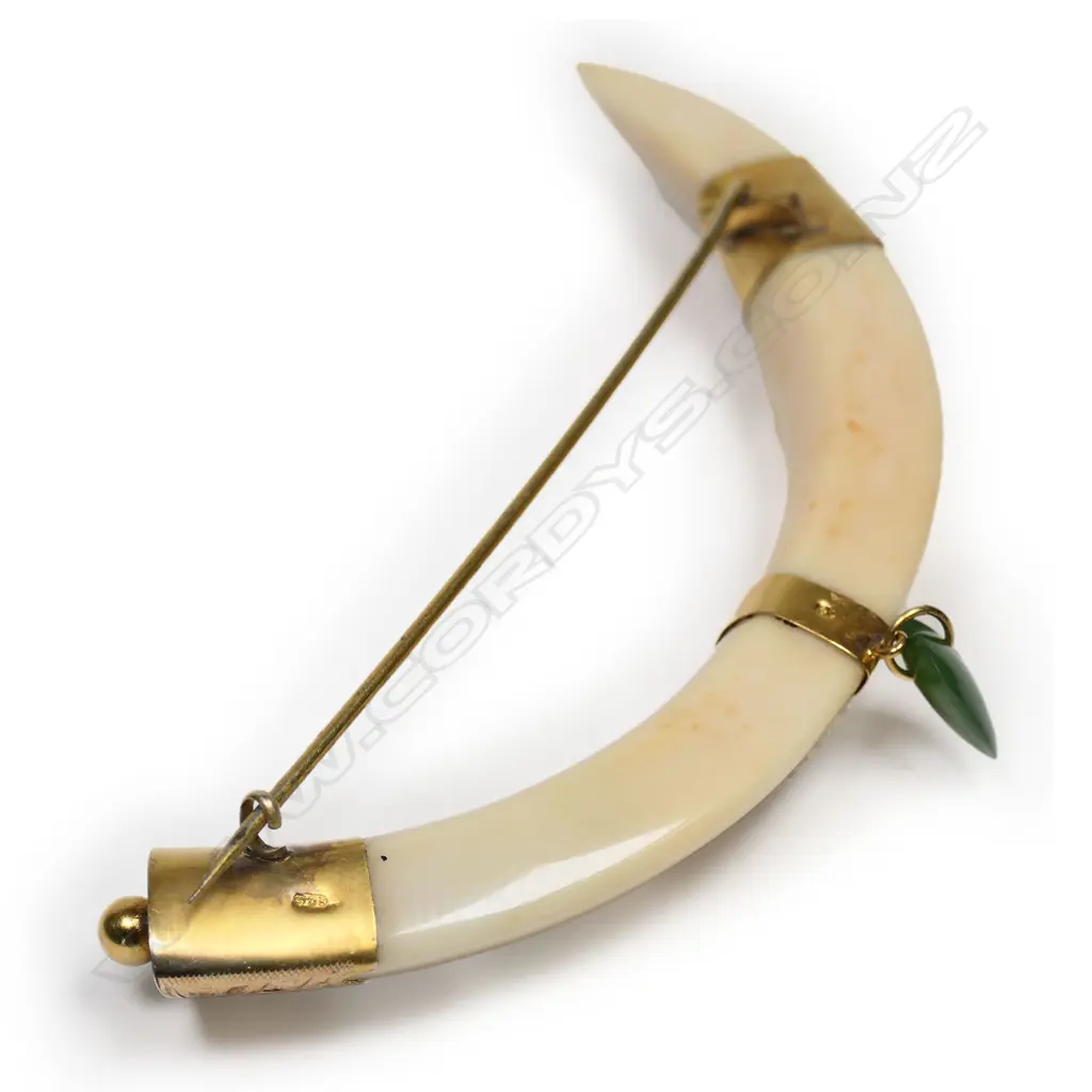 A New Zealand colonial 9ct gold mounted boar's tusk brooch, Image 1++