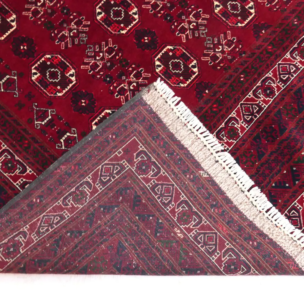 A finely hand knotted Turkman Waziri  carpet Image 1++