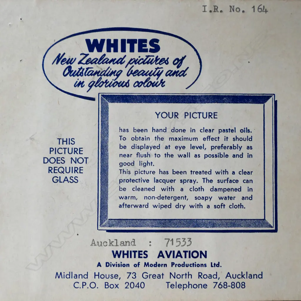 A vintage very large format hand-coloured Whites Aviation photo, Image 1++