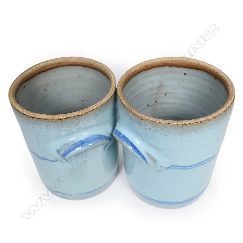 Peter Stichbury pair of lidded jars, Image 1++