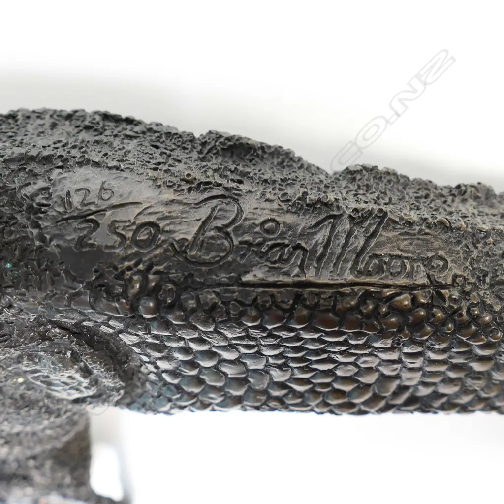 A limited-edition bronze sculpture of a tuatara by Brian Moore, Image 1++