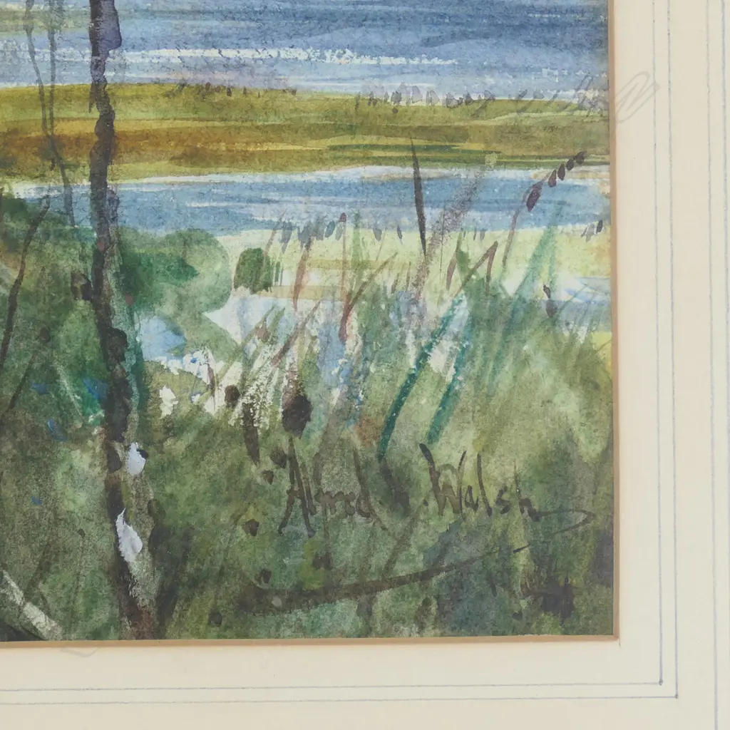 Alfred Wilson Walsh (1859-1916), Image 1++