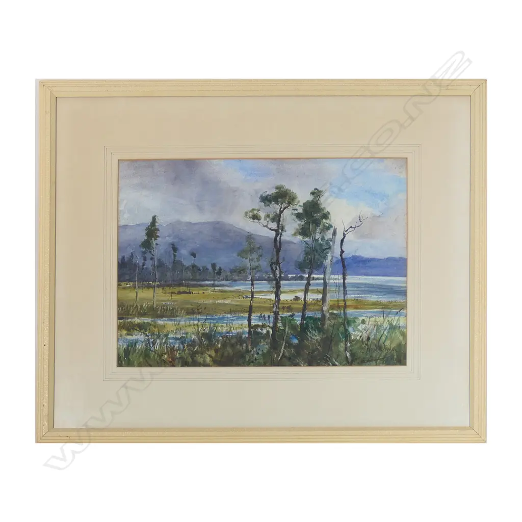 Alfred Wilson Walsh (1859-1916), Image 1++