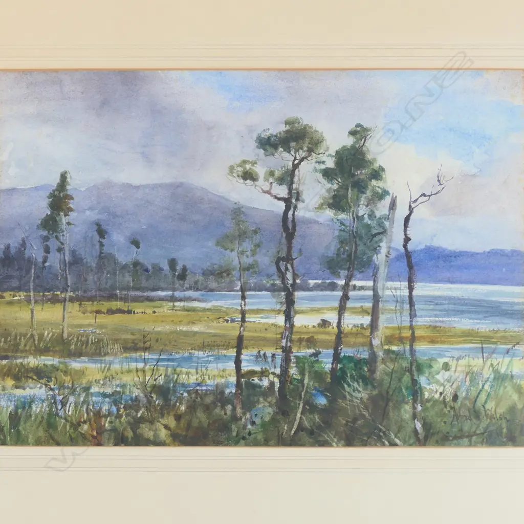 Alfred Wilson Walsh (1859-1916), Image 1++
