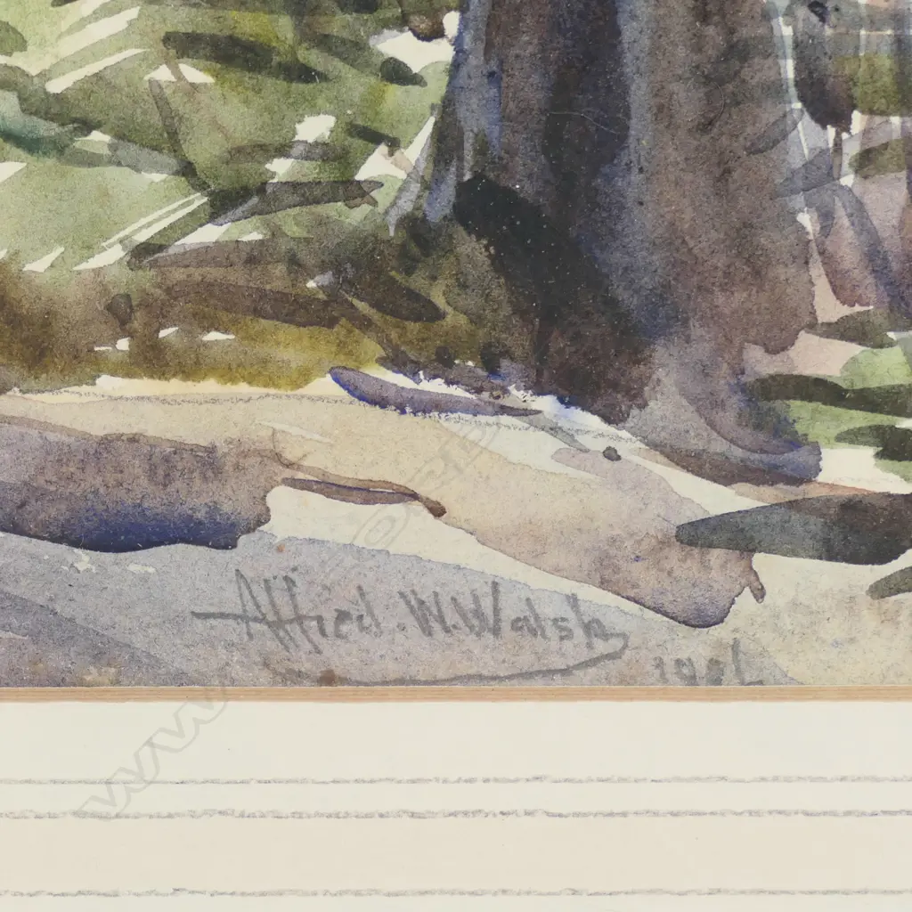 Alfred Wilson Walsh (1859-1916), Image 1++