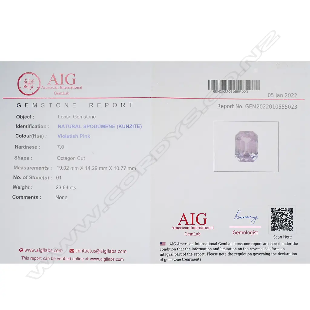 A large kunzite silver mounted pendant on chain, Image 1++