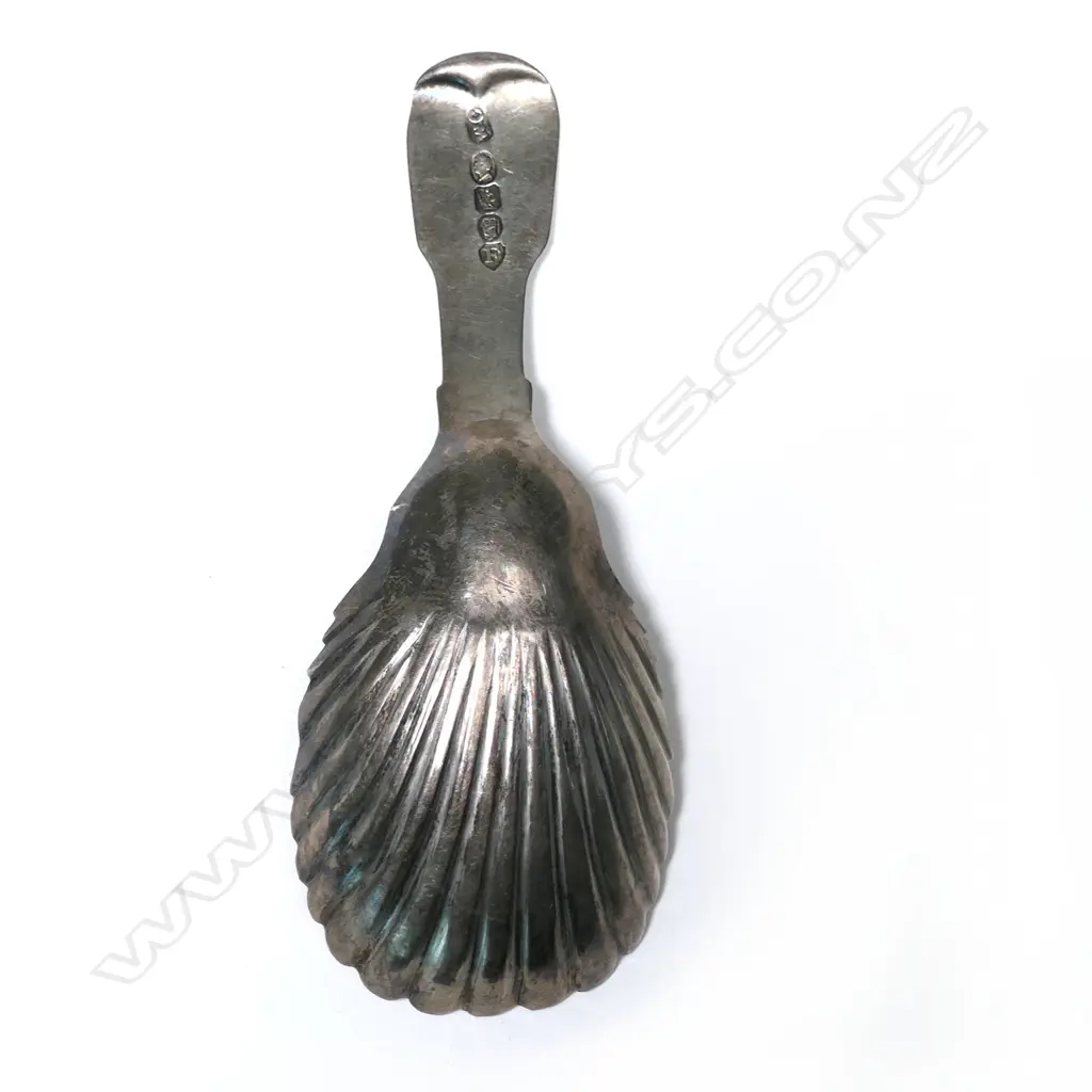 A Georgian IV Irish silver caddy spoon, Dublin 1826 by William Cummins, Image 1++