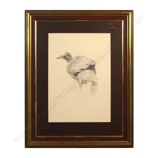 Raymond Ching (b.1939), 'Adult Female Lyre Bird',