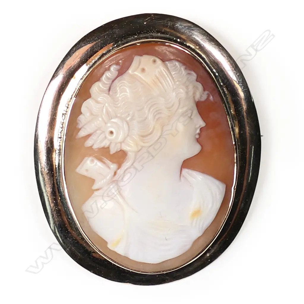 A 9ct rose gold framed elegant cameo brooch, Image 1++