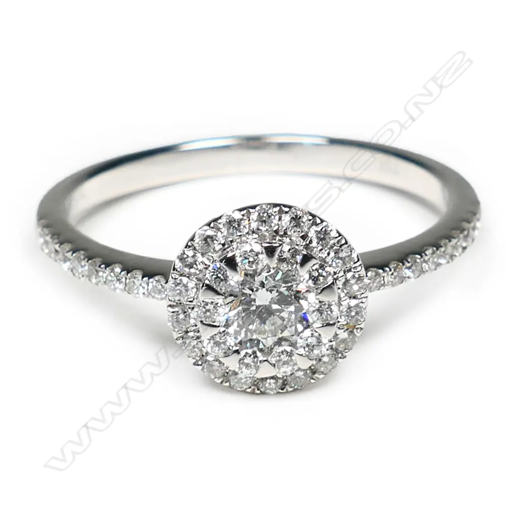 An 18ct white gold and diamond circular cluster ring, Image 1++