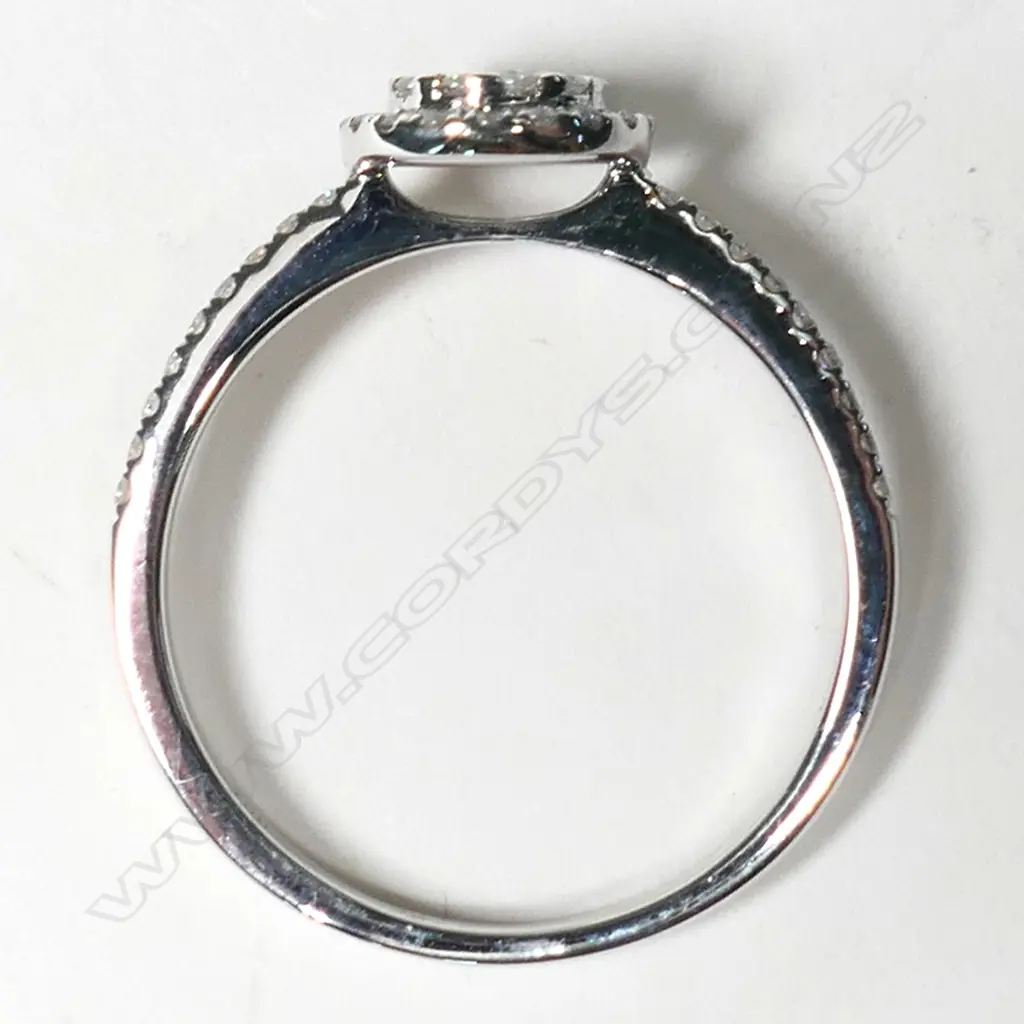 An 18ct white gold and diamond circular cluster ring, Image 1++