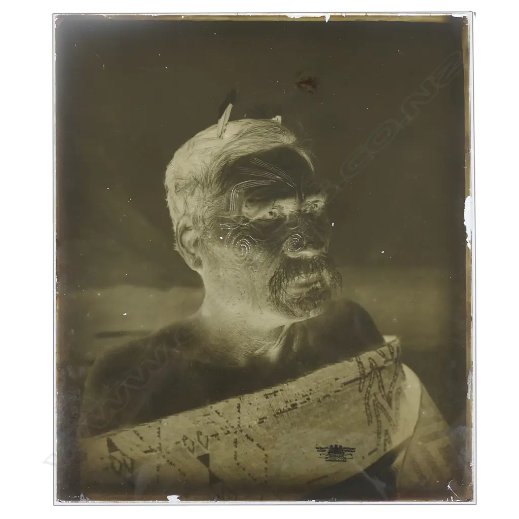 19thC Elizabeth Pulman (1836-1900) attributed full glass plate negative portrait of A Māori chief, Image 1++