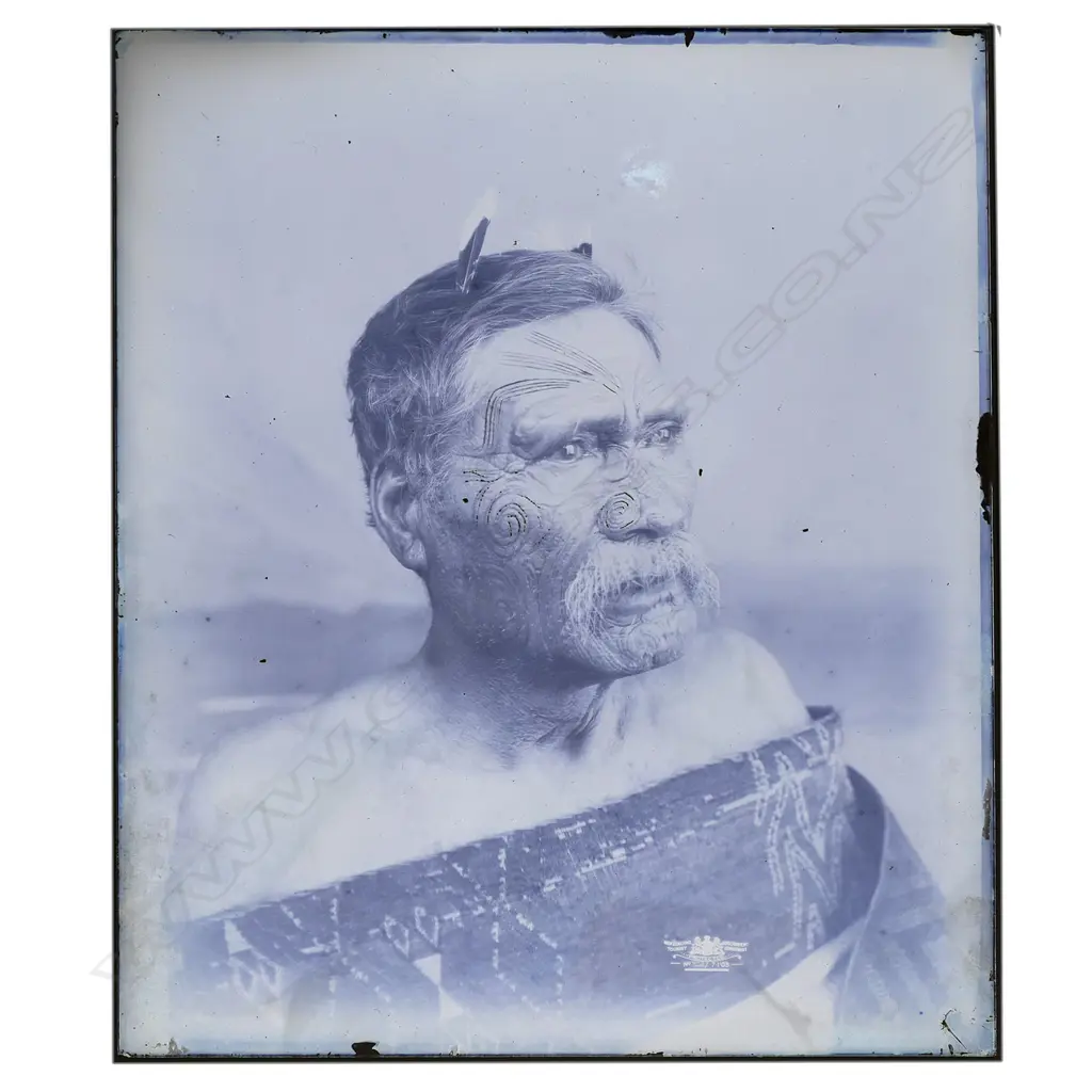 19thC Elizabeth Pulman (1836-1900) attributed full glass plate negative portrait of A Māori chief, Image 1++
