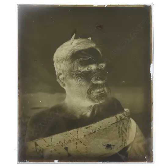 19thC Elizabeth Pulman (1836-1900) attributed full glass plate negative portrait of A Māori chief,