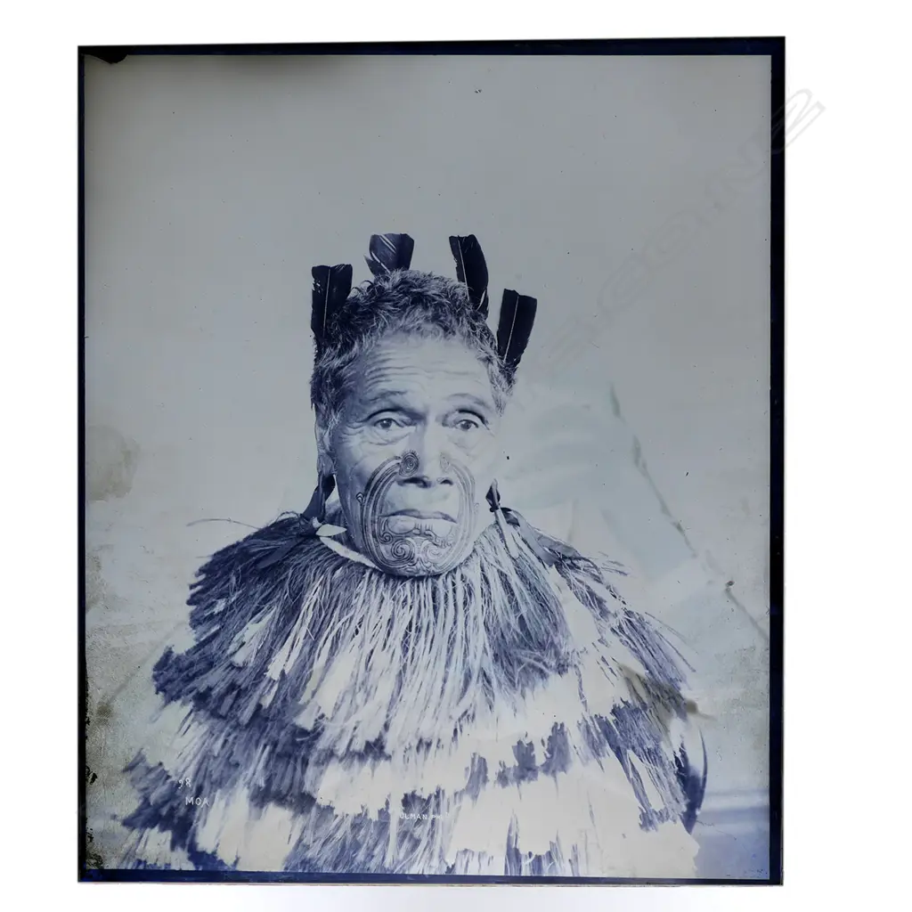 19thC Elizabeth Pulman full glass plate negative portrait of 'Moa', Image 1++