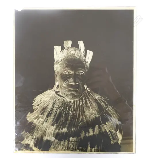 19thC Elizabeth Pulman full glass plate negative portrait of 'Moa',