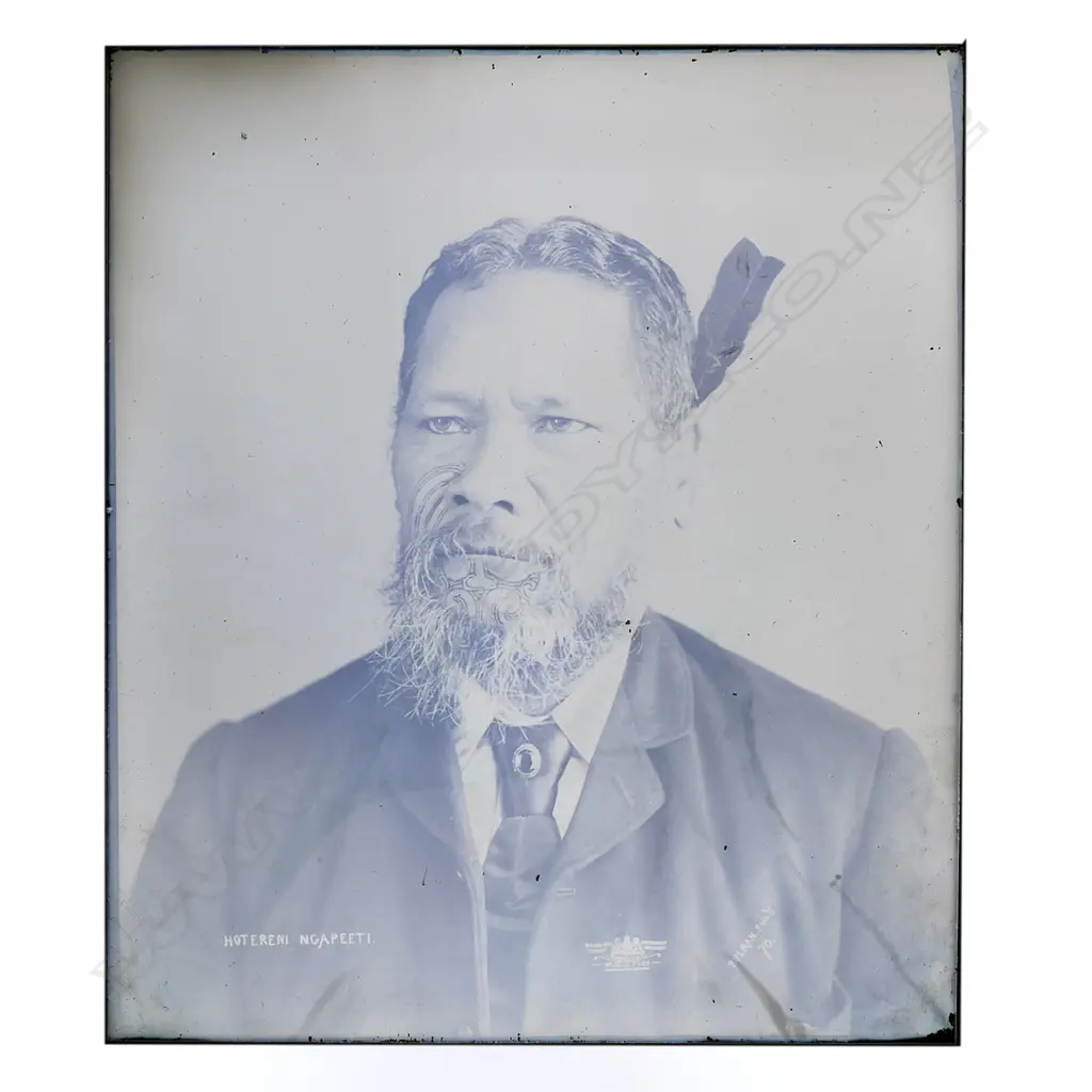 19thC Elizabeth Pulman full glass plate negative portrait of 'Hotereni Ngapeeti', Image 1++