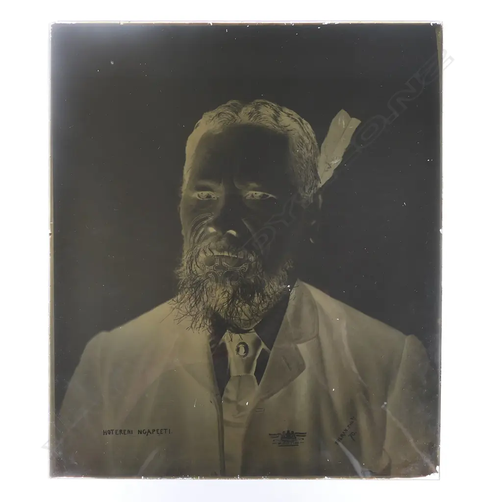 19thC Elizabeth Pulman full glass plate negative portrait of 'Hotereni Ngapeeti', Image 1++