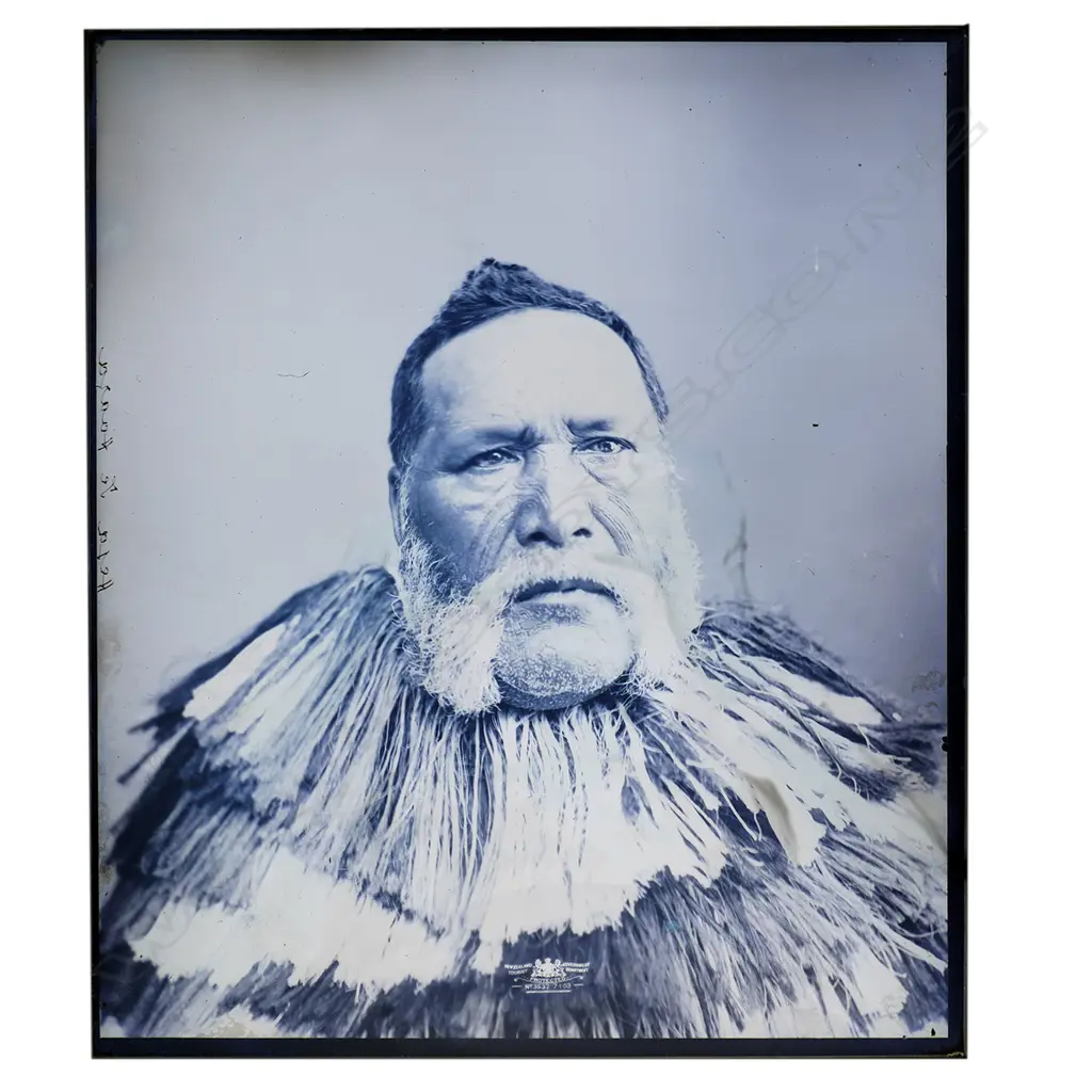 19thC Elizabeth Pulman attributed full glass plate negative portrait of A Māori chief, Image 1++