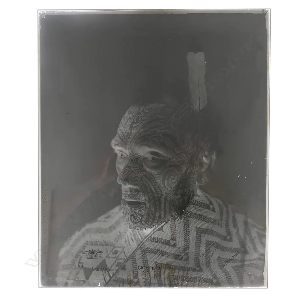 19thC Elizabeth Pulman full glass plate negative portrait of 'Anehana', Image 1++