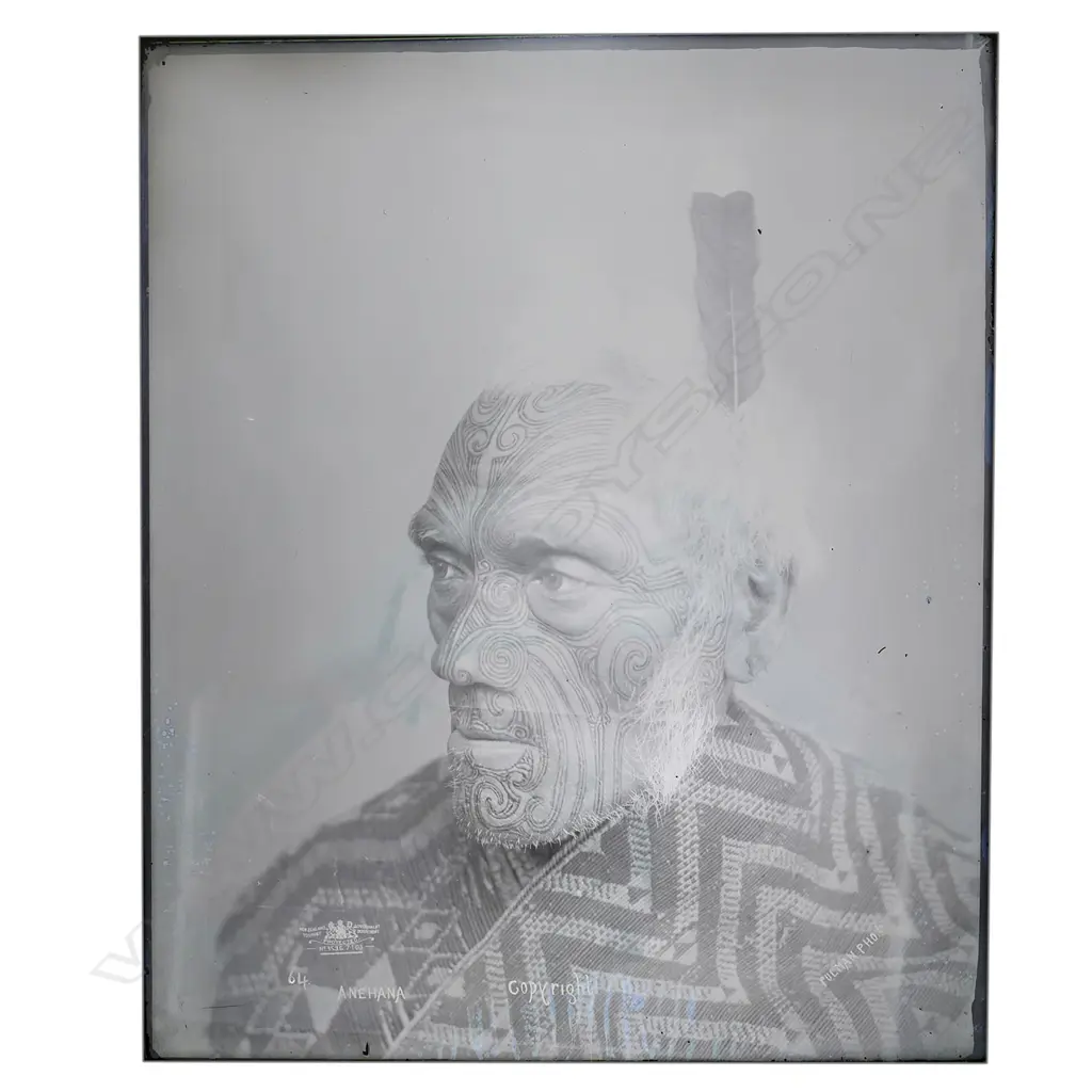 19thC Elizabeth Pulman full glass plate negative portrait of 'Anehana', Image 1++