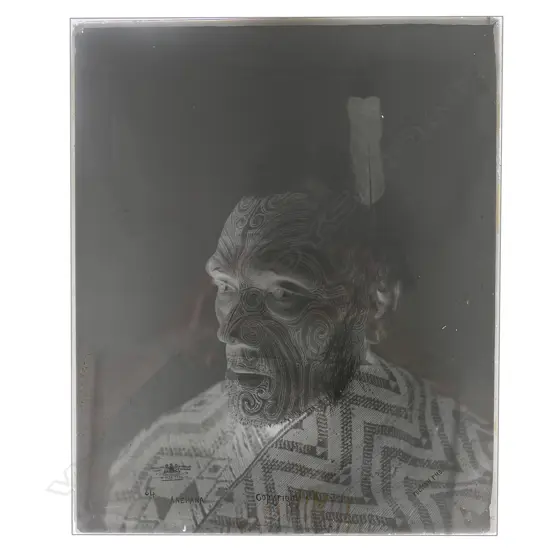 19thC Elizabeth Pulman full glass plate negative portrait of 'Anehana',