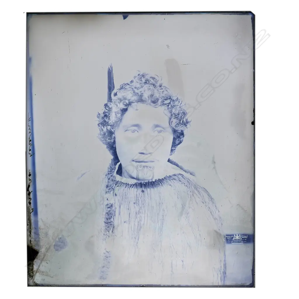 19thC Elizabeth Pulman full glass plate negative portrait of 'Piirhira Kereama', Image 1++
