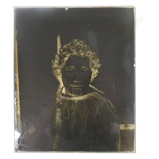 19thC Elizabeth Pulman full glass plate negative portrait of 'Piirhira Kereama',