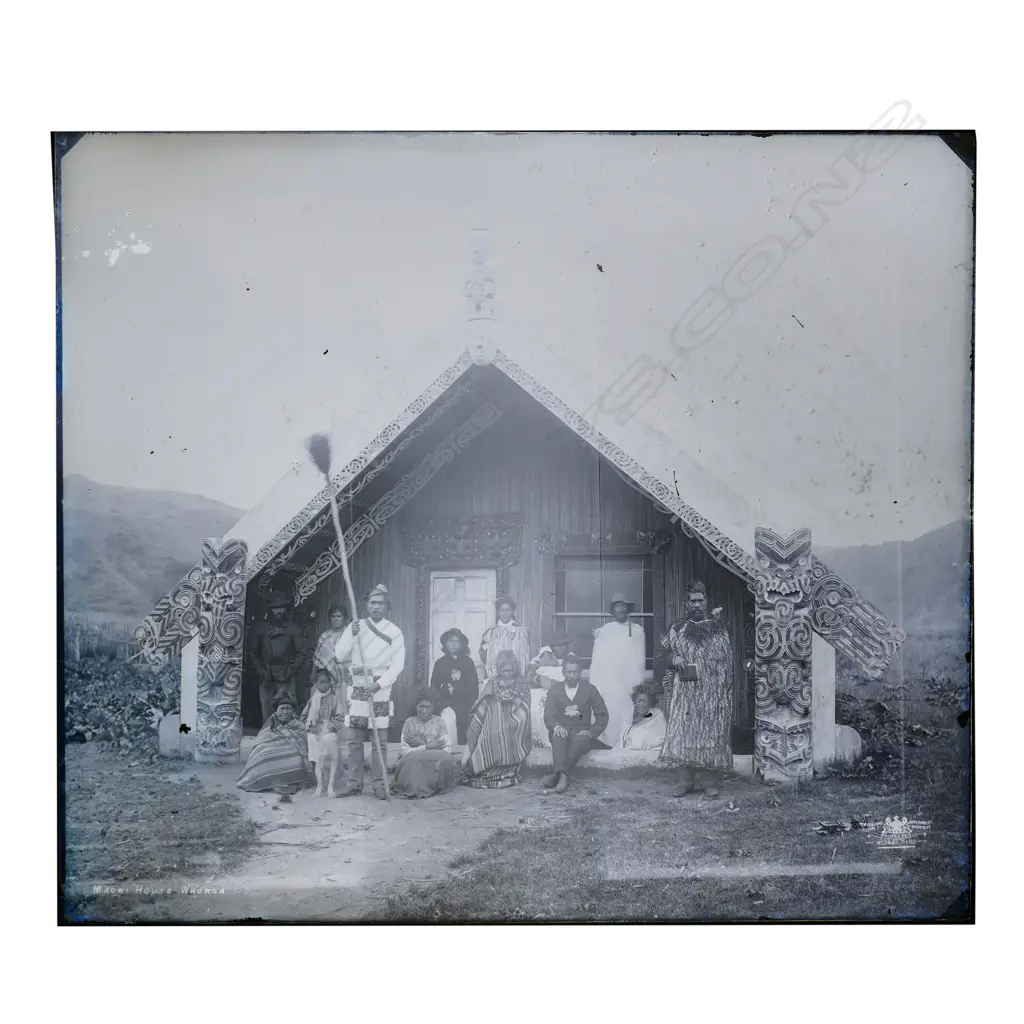 19thC Elizabeth Pulman attributed full glass plate negative ''Māori HOUSE WAOROA', Image 1++