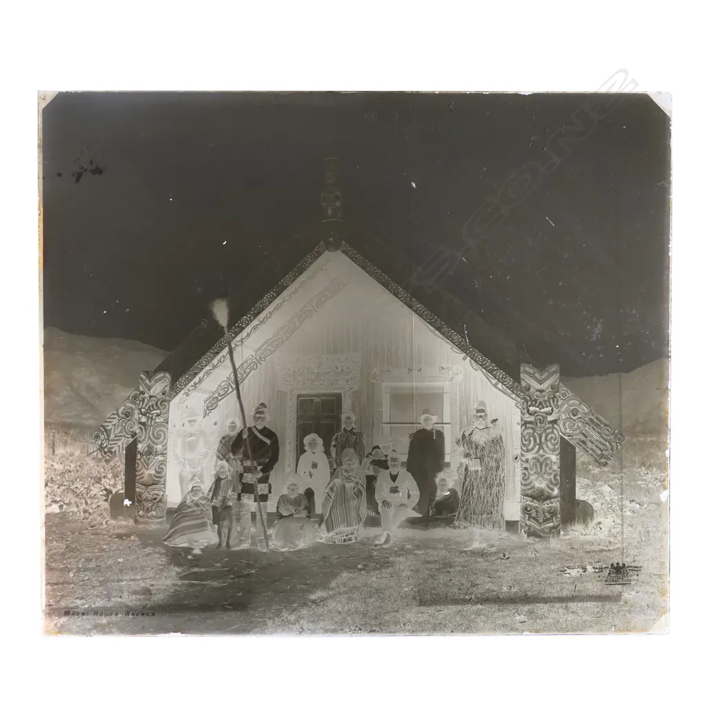 19thC Elizabeth Pulman attributed full glass plate negative ''Māori HOUSE WAOROA', Image 1++