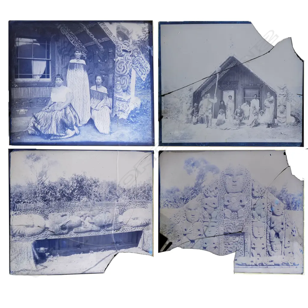 Four 19thC Māori subject glass plate negatives, Image 1++