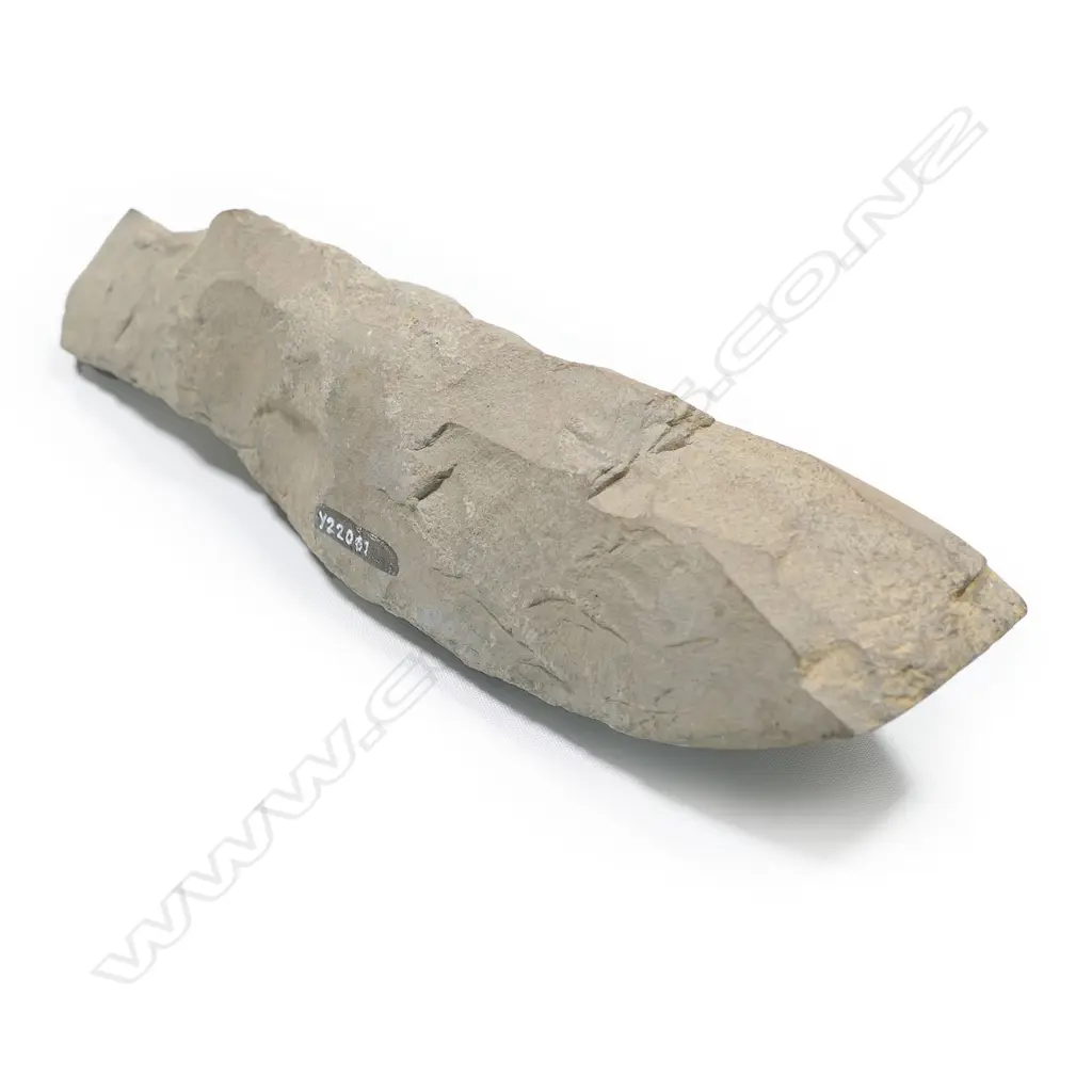 A Māori pre-European stone hogback toki (adze), Image 1++