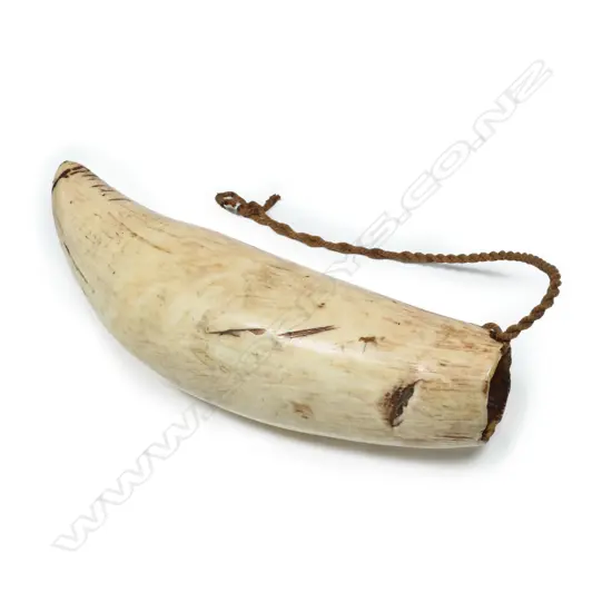 An old Fijian Tabua whales tooth pendant,