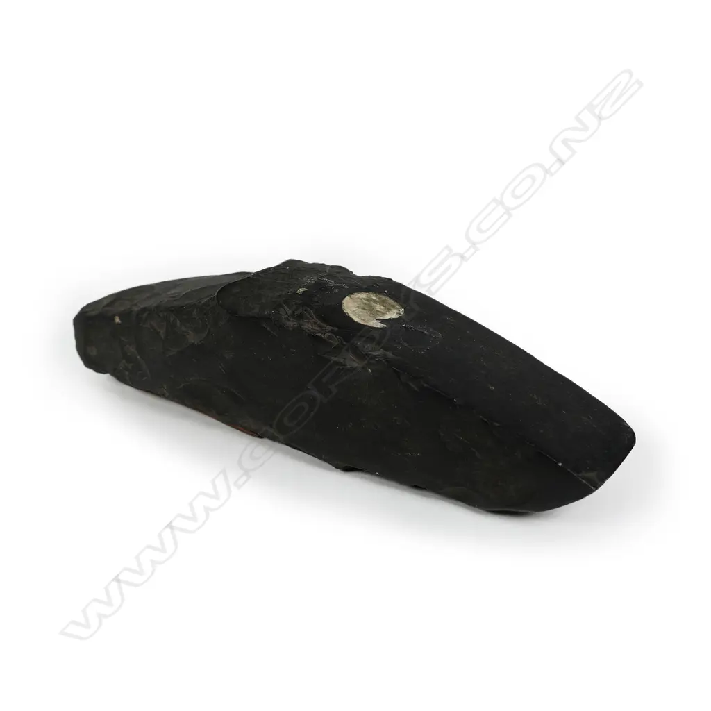 A pre-European Honolulu Hawaii stone hog-back adze Image 1++