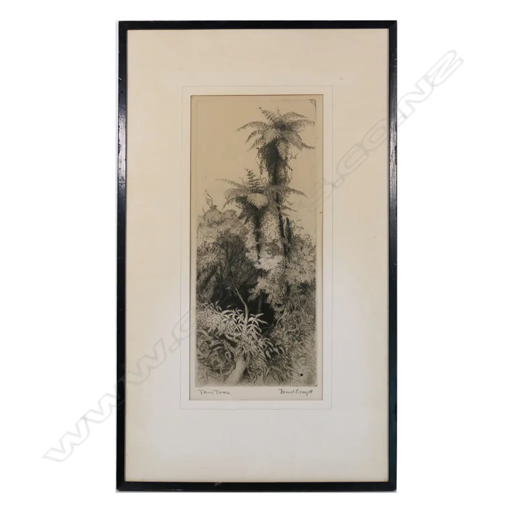 Trevor Lloyd (1863-1911) etching 'Fern Trees', Image 1++