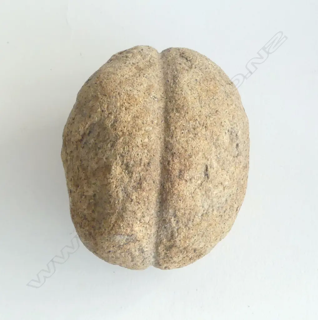 An old Māori stone mahe (sinker) with latitudinal lashing groove, Image 1++