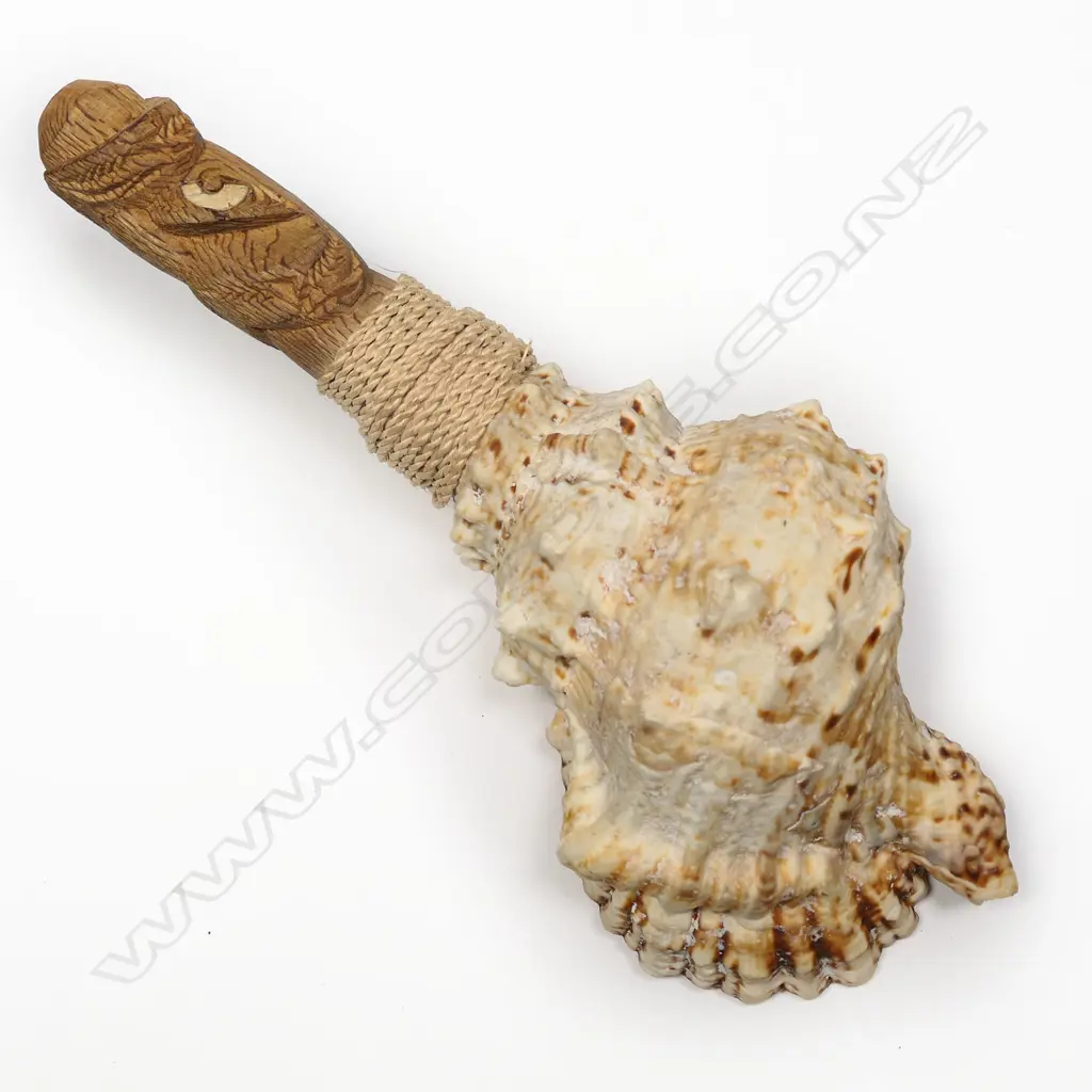 A Māori trumpet with carved wooden mouthpiece trumpet Image 1++