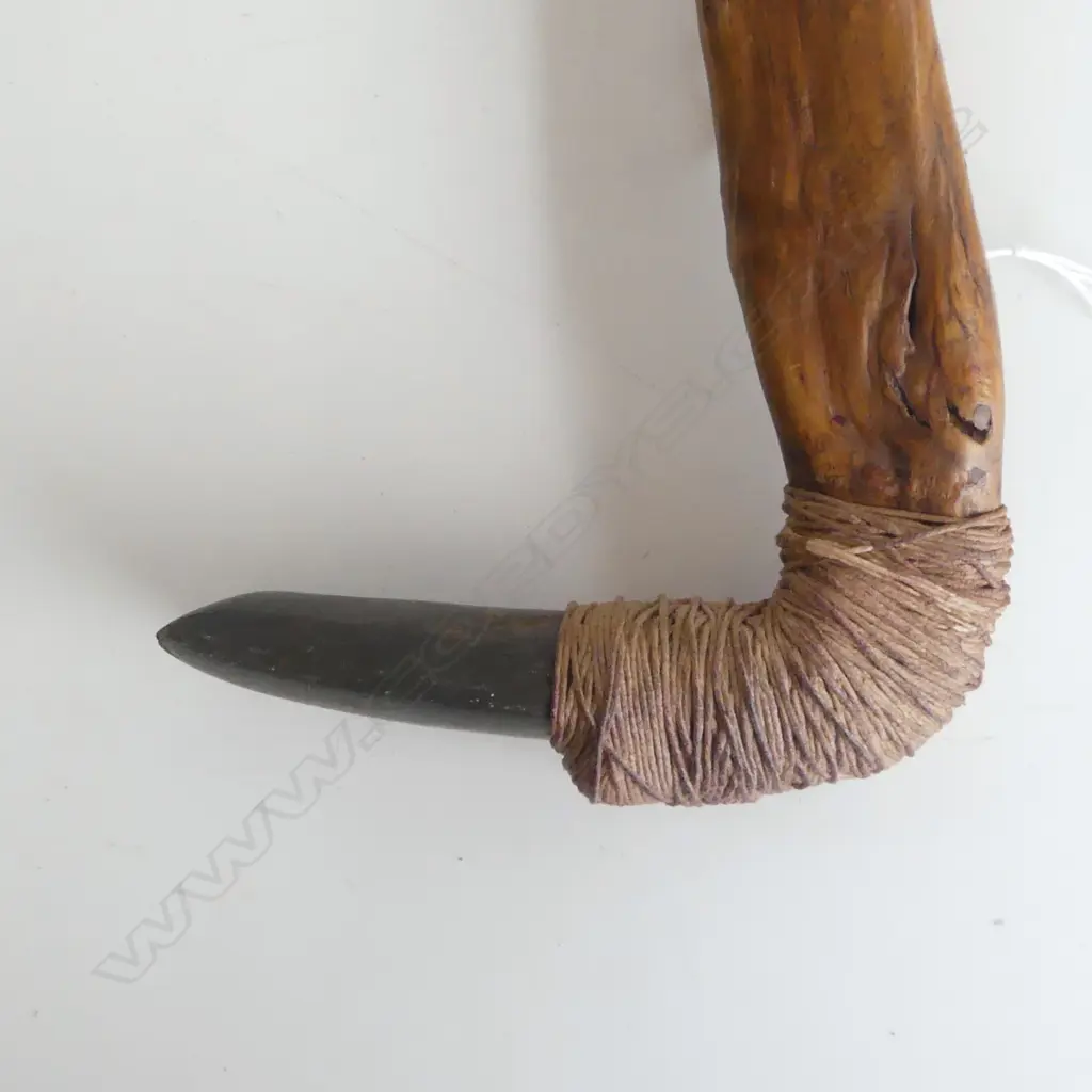 Melanesian wood hafted adze Image 1++