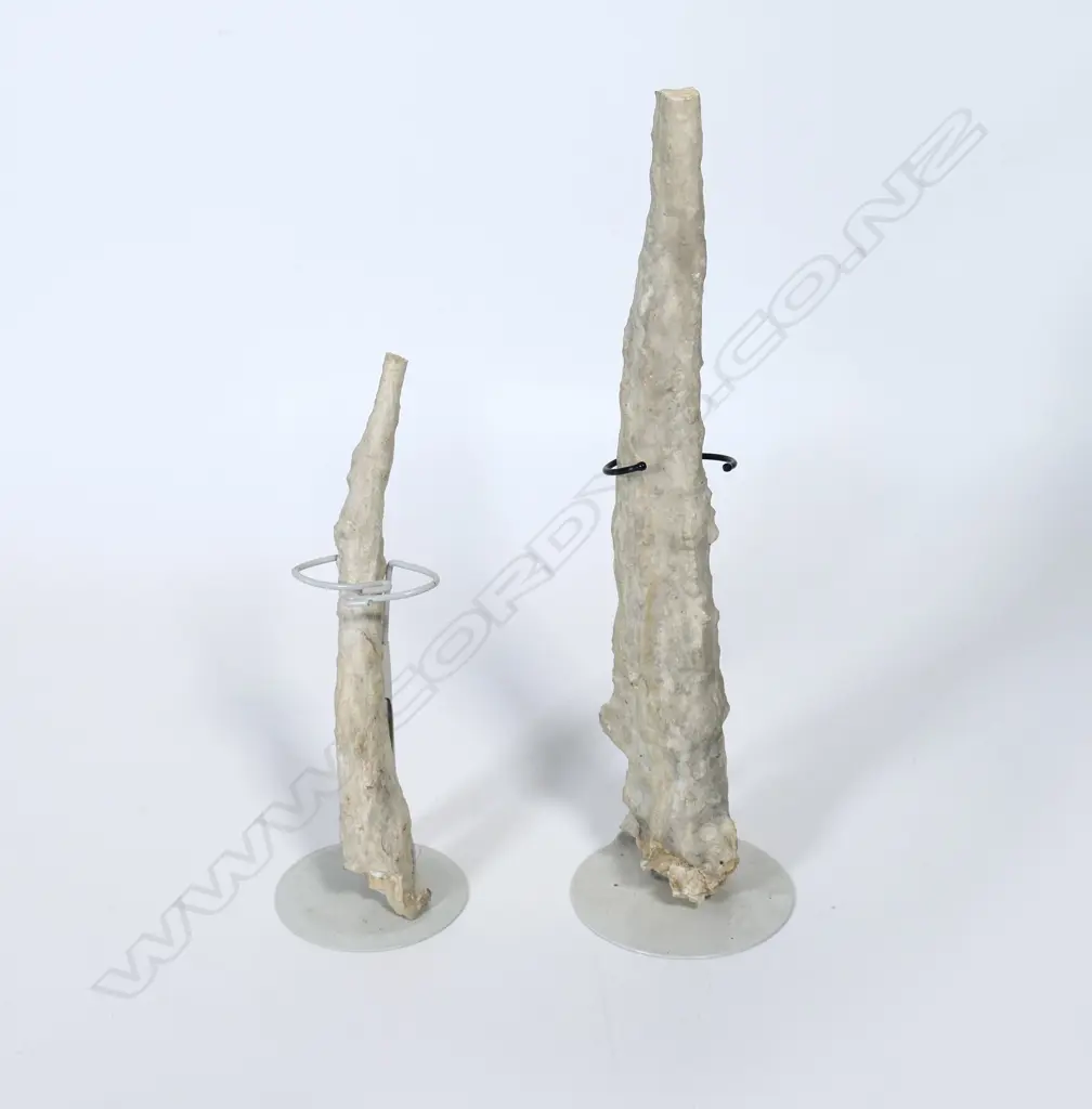 Two stalactites Image 1++