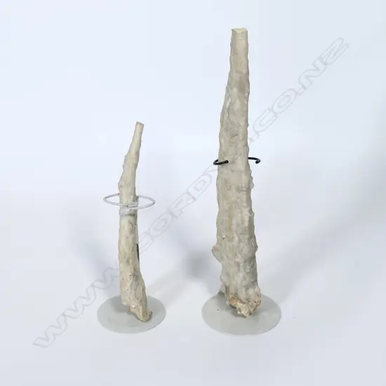Two stalactites