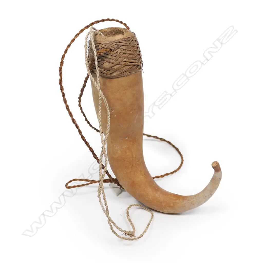 A PNG small gourd penis cover, Image 1++