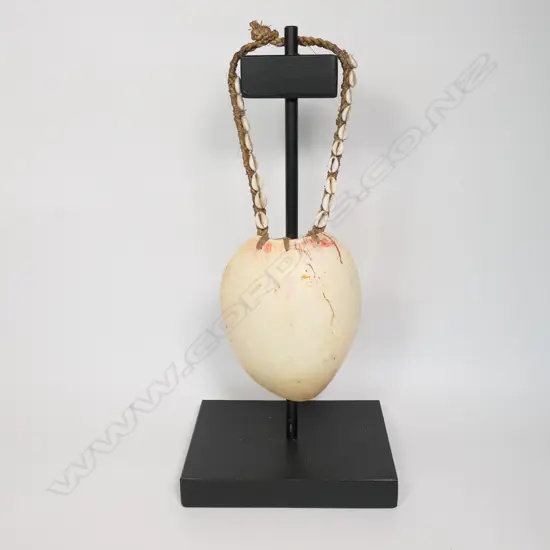Bailer shell necklace with small cowries shell chain,