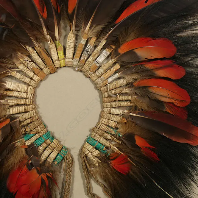 A framed PNG feather headdress, Image 1++