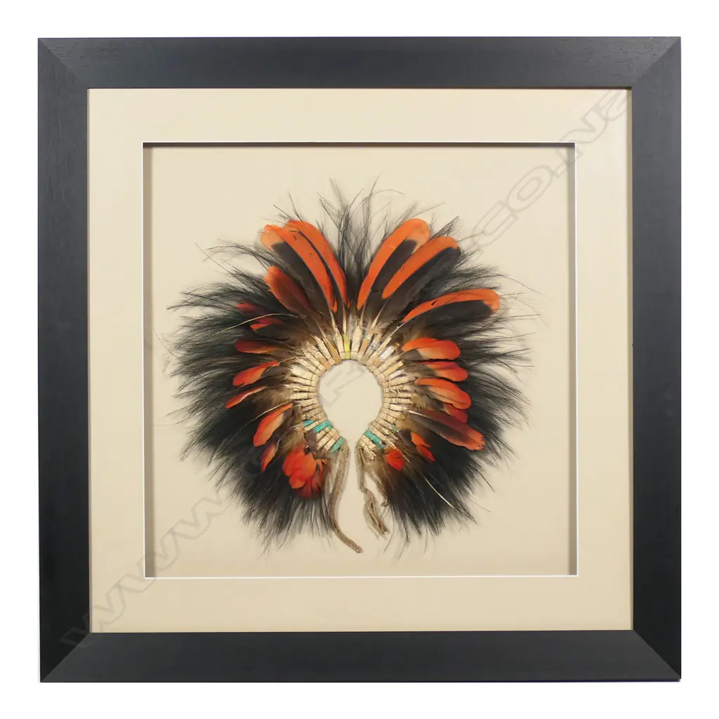 A framed PNG feather headdress, Image 1++